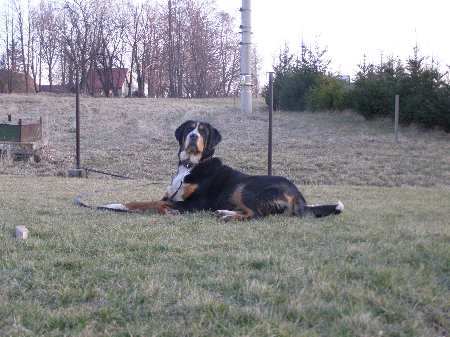 Endy 7.3.2008 001.jpg