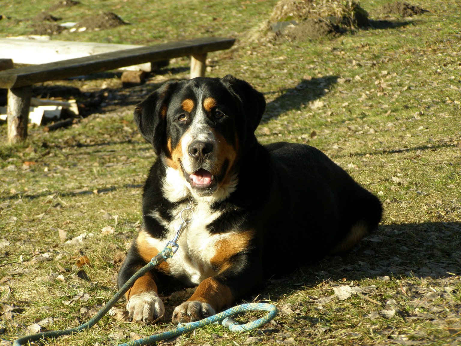 Endy 24.2.2008 023.jpg