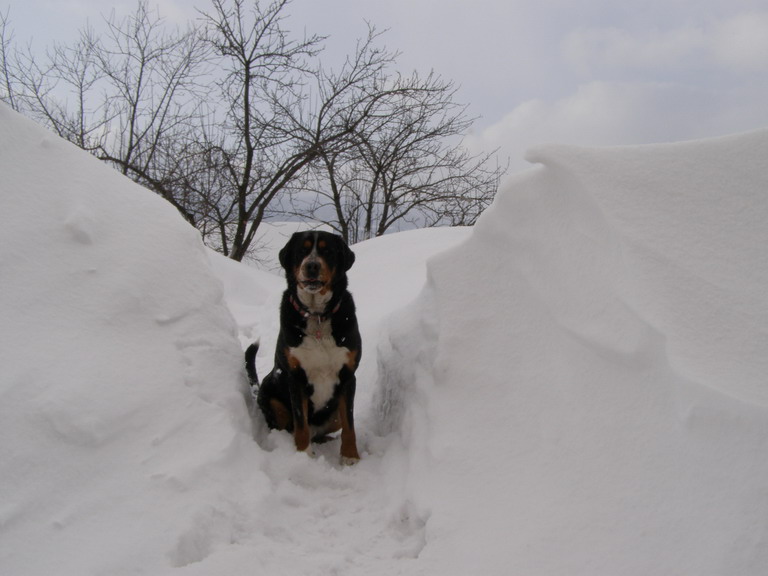Endy 19.2.2009 001.jpg