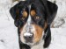 Endy 25.11.2008 020.jpg